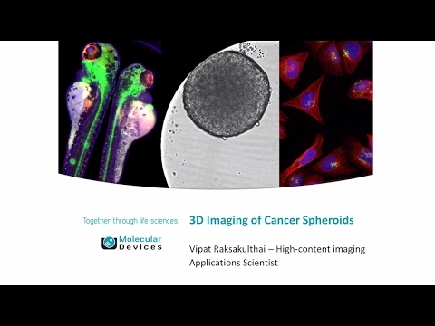 Explore new dimensions with ImageXpress Micro High-Content Imaging Systems